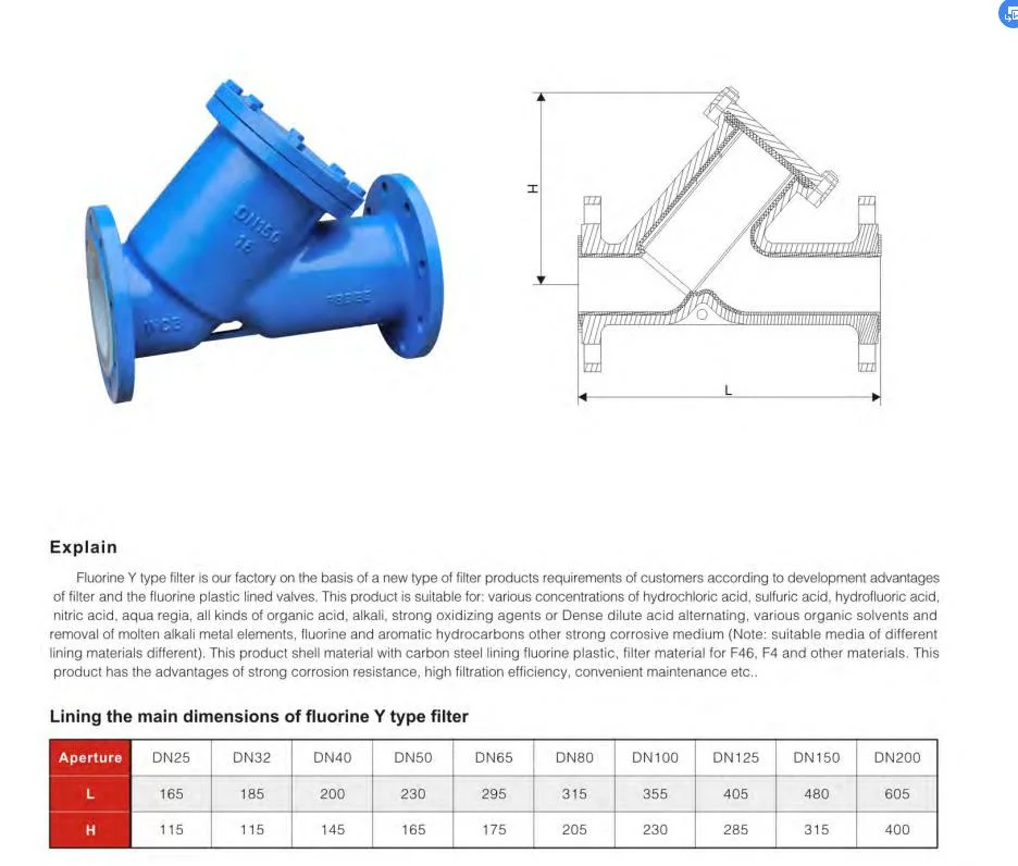 Cast Steel Fluorine Lined Y Strainer DN100